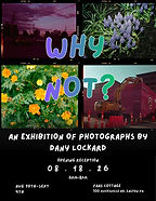 Dany Lockhard Exhibit Flyer.jfif