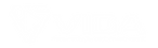 vida-logo.png