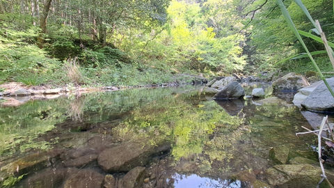 LINE_ALBUM_禅の宿宣材写真20234_230512_4.jpg