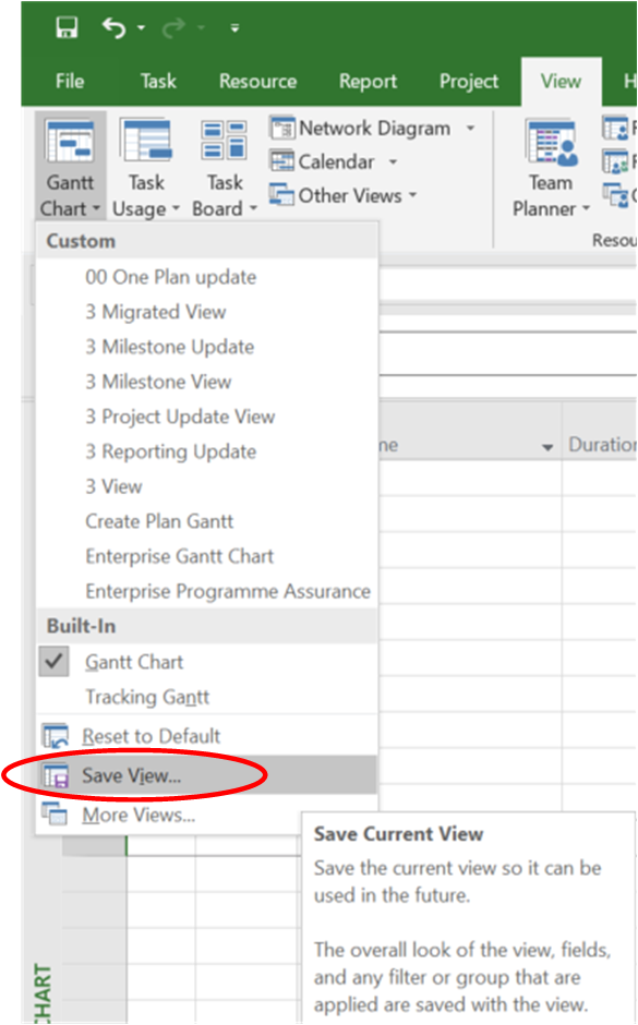 How to save the current view in MS Project