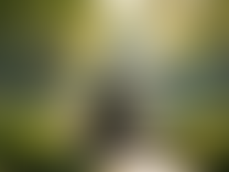 Embracing Mindfulness: A Beginner's Journey to Inner Peace and Calm