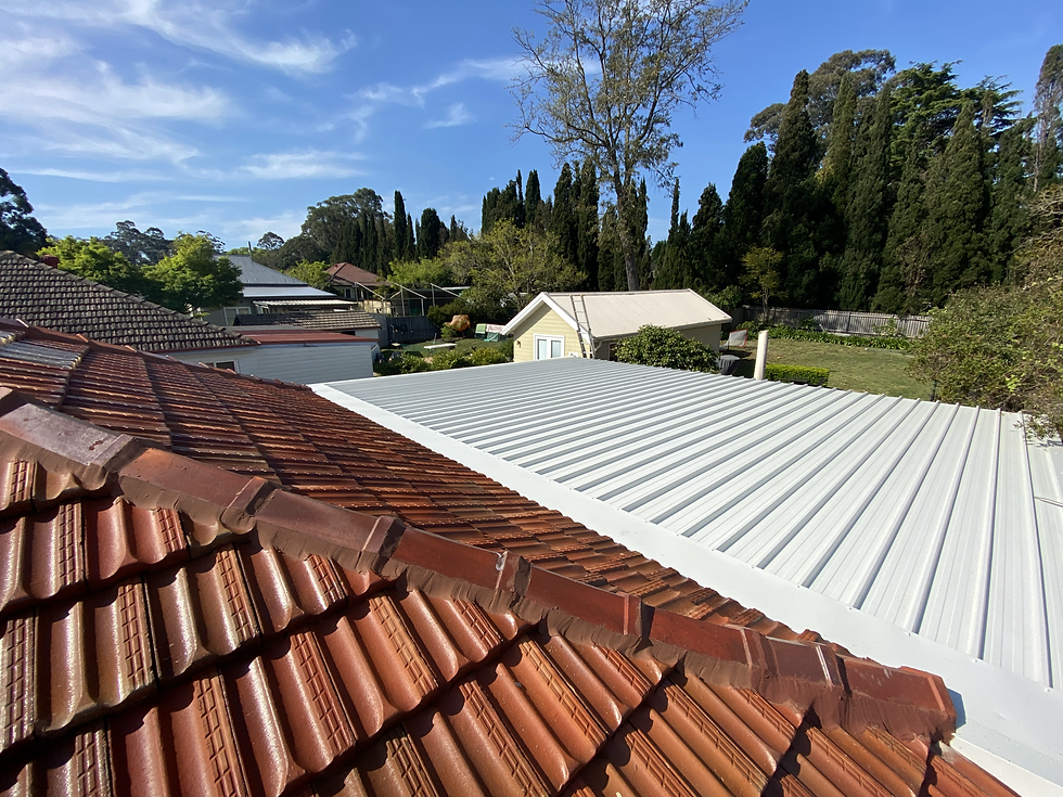 Metal Roof Extention