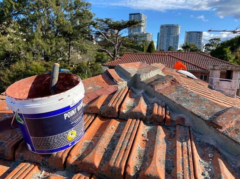 Roof Pointing