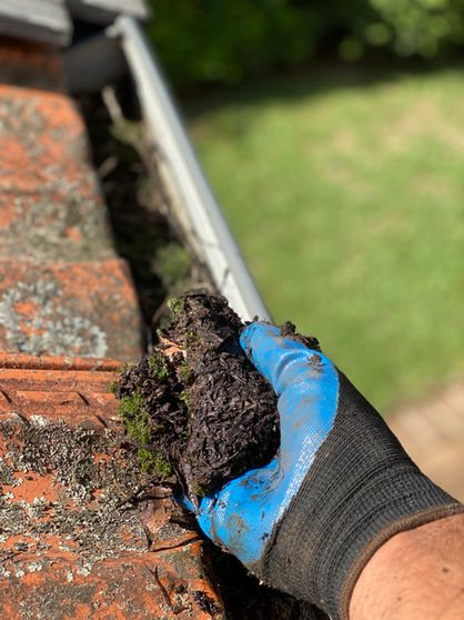 Gutter Cleaned