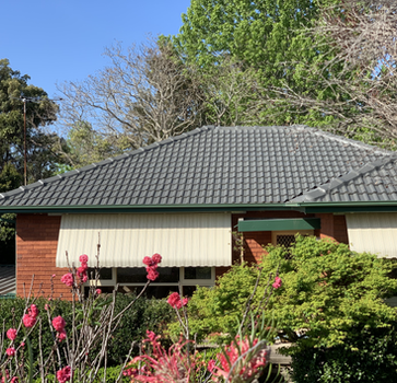 Roof Painted