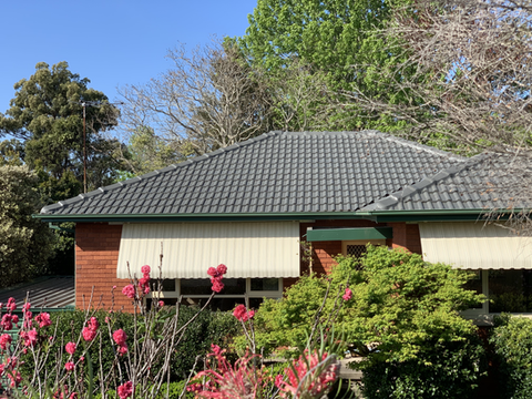 Roof Painted