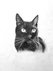 Kitty