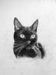 Kitty