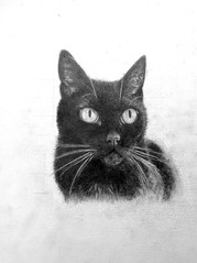 Kitty