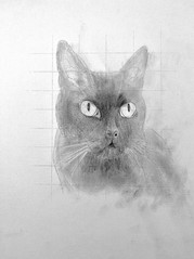 Kitty