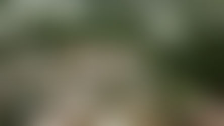 ¿CRISIS CLIMÁTICA?