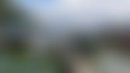 EL PESCADOR VALIENTE