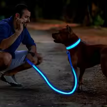 Thumbnail: NightGlow™ LED Dog Collar
