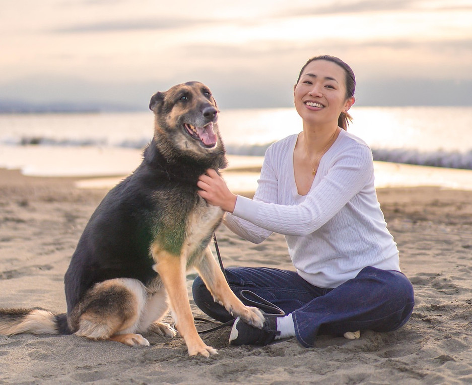 トレーナーと愛犬