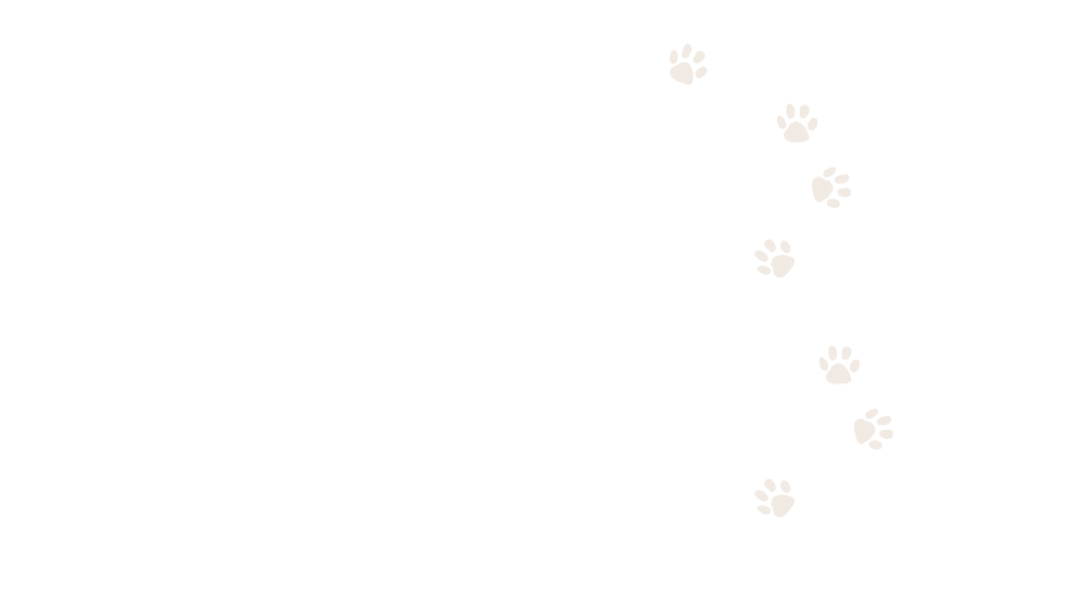 dog-bg.png