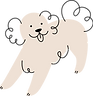 dog1