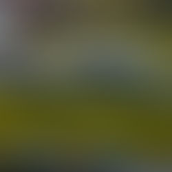 Troppo bello...sognato alla vigilia di Natale!