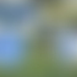 Locara Calcio vs Aurora Marchesino (0-0) (13.04.25) 