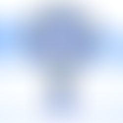 CALENDARI U19-U16-U14