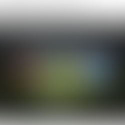 CAMPIONATO 2^ CATEGORIA gir.D - 5ª giornata (12.10.25)Provese:4 Locara:2