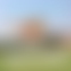 6 Gennaio 2021: EPIFANIA