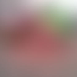 A Natale si può fare di più...! (22.12.24)