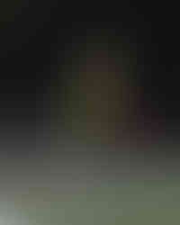 Mid-game action during the 2025 Staten Island High School Soccer All-Star Game with players showcasing their skills.