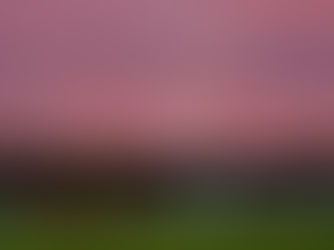 Match Preview: London City vs Brighton & Hove Albion