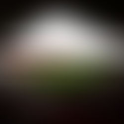 Broadcast Selection Confirmed: London City Lionesses on BBC iPlayer in Round 12