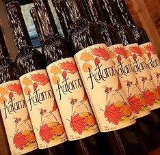 20191020_184617 2_edited.jpg