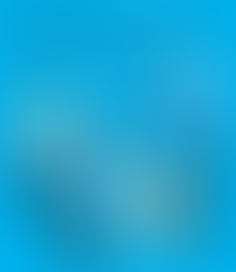 Perfil de los usuarios de teléfonos inteligentes