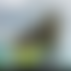 Flexibilidad para Empresas en Crecimiento