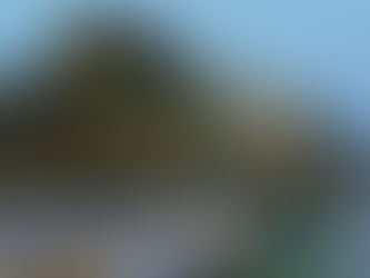 Cruise Trends for 2026