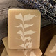 Lavender goat milk soap.