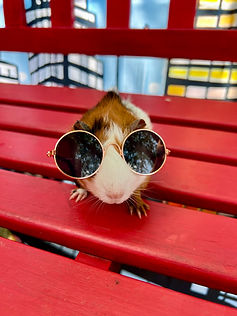 RenderedImage (7).JPEG