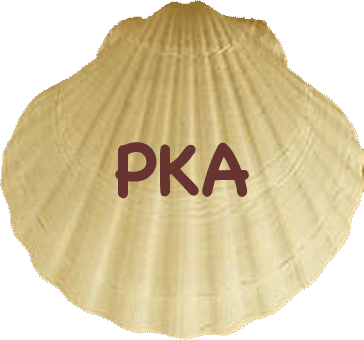 logo PKA