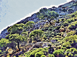 la_vallée_des_morts_1