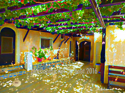 moni kapsa  cour interieure 2