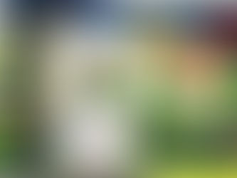 2022年度 第47回こども美術大賞展の結果