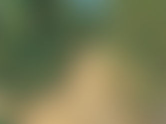 子ども二科展とは
