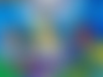 夏休みの宿題で「博士号」もらった!