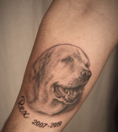 Black-and-White-Rex-Dog-Tattoo