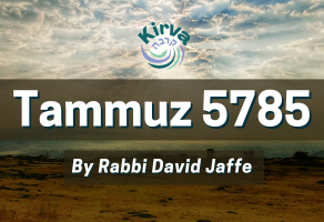     Image description: Blog image with a photo of a dry landscape with flat land in the foreground, and small hill or islands in the background. On top of the image is text that reads: Tammuz 5785 by Rabbi David Jaffe.