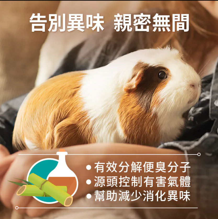 縮圖：Joy & Fibre® 護腸成年天竺鼠糧(*六個月以上成年天竺鼠)