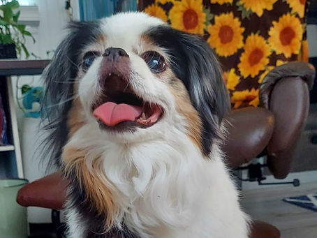 Sweet Annie