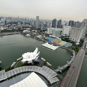 Singapur: Sky Observatorium - Floral Fantasy - MBS - Sukiyaki - Changi Airport