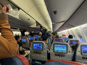 Delhi - Istanbul - Berlin