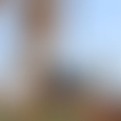 Jameh Mosque - Qanat von Zarch - Towers of Silence - Old City