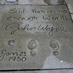 Heimflug nach Berlin