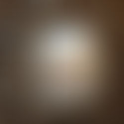 Jaipur: Amber Fort - Jain Temple Sanghi Ji